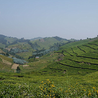 Photo de Rwanda - Gisenyi